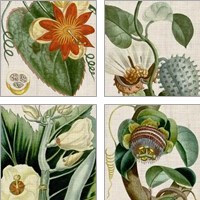 Framed 'Cropped Turpin Tropicals 4 Piece Art Print Set' border=