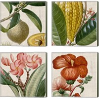 Framed 'Cropped Turpin Tropicals 4 Piece Canvas Print Set' border=