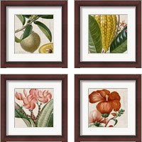 Framed 'Cropped Turpin Tropicals 4 Piece Framed Art Print Set' border=