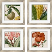 Framed 'Cropped Turpin Tropicals 4 Piece Framed Art Print Set' border=