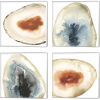 Framed 'Cropped Geodes 4 Piece Canvas Print Set' border=