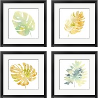 Framed 'Prisma Tropical  4 Piece Framed Art Print Set' border=