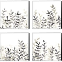 Framed 'Liquid Stems 4 Piece Canvas Print Set' border=