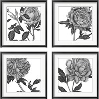 Framed 'Flowers in Grey 4 Piece Framed Art Print Set' border=