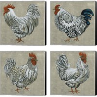 Framed 'Roost  4 Piece Canvas Print Set' border=