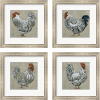 Framed 'Roost  4 Piece Framed Art Print Set' border=