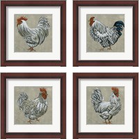 Framed 'Roost  4 Piece Framed Art Print Set' border=