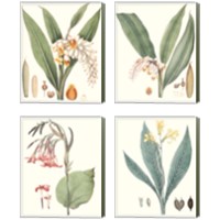 Framed 'Soft Tropical  4 Piece Canvas Print Set' border=