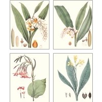 Framed 'Soft Tropical  4 Piece Art Print Set' border=