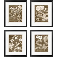 Framed 'Botanical in Taupe 4 Piece Framed Art Print Set' border=