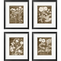 Framed 'Botanical in Taupe 4 Piece Framed Art Print Set' border=