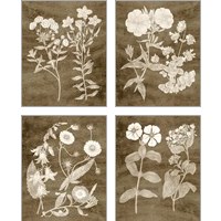 Framed 'Botanical in Taupe 4 Piece Art Print Set' border=