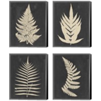 Framed 'Linen Fern 4 Piece Canvas Print Set' border=