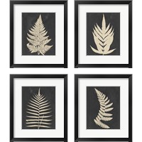 Framed 'Linen Fern 4 Piece Framed Art Print Set' border=