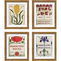 Framed 'Flower Seed Packs 4 Piece Framed Art Print Set' border=