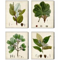 Framed 'Verdant Foliage 4 Piece Canvas Print Set' border=