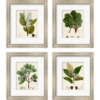 Framed 'Verdant Foliage 4 Piece Framed Art Print Set' border=