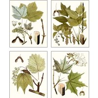 Framed 'Maple Leaves 4 Piece Art Print Set' border=