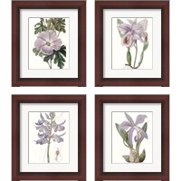 Framed 'Lavender Beauties 4 Piece Framed Art Print Set' border=