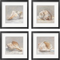 Framed 'Impressionist Shell Study 4 Piece Framed Art Print Set' border=