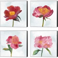 Framed 'Joyful Peony 4 Piece Canvas Print Set' border=