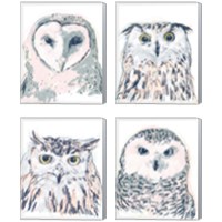 Framed 'Funky Owl Portrait 4 Piece Canvas Print Set' border=