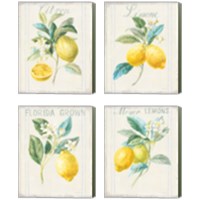 Framed 'Floursack Lemon 4 Piece Canvas Print Set' border=