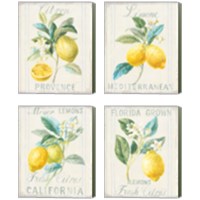 Framed 'Floursack Lemon 4 Piece Canvas Print Set' border=