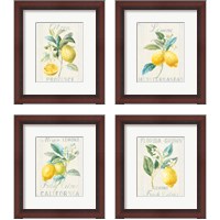 Framed 'Floursack Lemon 4 Piece Framed Art Print Set' border=