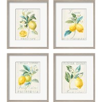 Framed 'Floursack Lemon 4 Piece Framed Art Print Set' border=