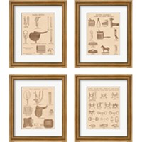 Framed 'Equine Riding Gear 4 Piece Framed Art Print Set' border=