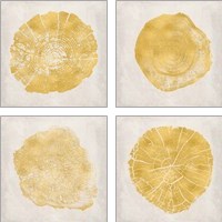 Framed 'Tree Stump Golden 4 Piece Art Print Set' border=