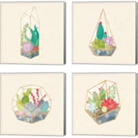 Framed 'Succulent Terrarium 4 Piece Canvas Print Set' border=