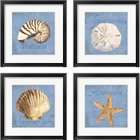 Framed 'Oceanum Shells Blue 4 Piece Framed Art Print Set' border=