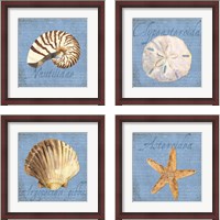 Framed 'Oceanum Shells Blue 4 Piece Framed Art Print Set' border=