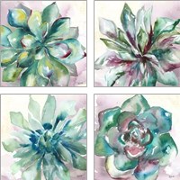 Framed 'Succulent Watercolor  4 Piece Art Print Set' border=