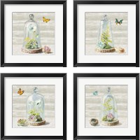 Framed 'Succulent Garden 4 Piece Framed Art Print Set' border=