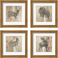 Framed 'Natural History Lodge Southwest 4 Piece Framed Art Print Set' border=