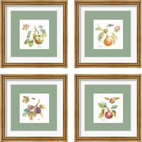 Framed 'Orchard Bloom Border 4 Piece Framed Art Print Set' border=