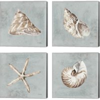 Framed 'Sand and Seashells  4 Piece Canvas Print Set' border=