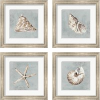 Framed 'Sand and Seashells  4 Piece Framed Art Print Set' border=