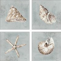 Framed 'Sand and Seashells  4 Piece Art Print Set' border=