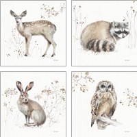 Framed 'Woodland Walk 4 Piece Art Print Set' border=