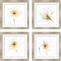 Framed 'Gilded Graphite Floral 4 Piece Framed Art Print Set' border=