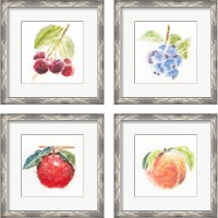 Framed 'Garden Delight 4 Piece Framed Art Print Set' border=