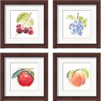 Framed 'Garden Delight 4 Piece Framed Art Print Set' border=