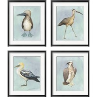 Framed 'Watercolor Beach Bird 4 Piece Framed Art Print Set' border=