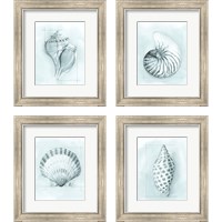 Framed 'Coastal Shell Schematic 4 Piece Framed Art Print Set' border=