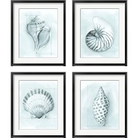 Framed 'Coastal Shell Schematic 4 Piece Framed Art Print Set' border=