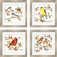 Framed 'Birds & Berries 4 Piece Framed Art Print Set' border=